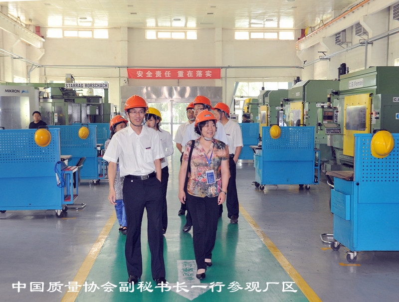 中国质量协会副秘书长来jdb电子游戏动力开展课题调研