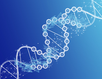 jdb电子游戏(中国)官方网站